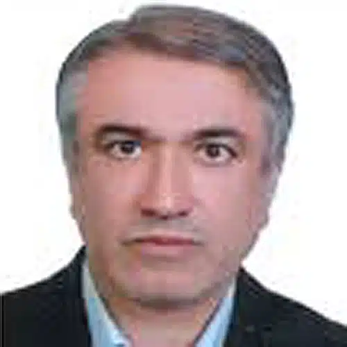 زواران حسینی